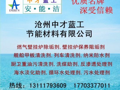 中才蓝工公司