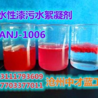 水性漆污水絮凝（净化）剂ANJ-1006