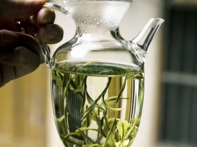 玻璃壺 玻璃藝術(shù)花瓶 玻匠人十大名牌茶具