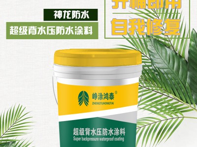 背水压防渗漏防水涂料在施工时要注意什么