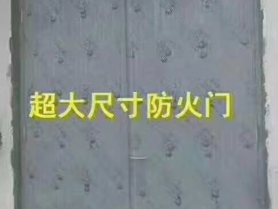超大防火门，超大门价格，超大门厂家图3