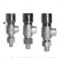 A42Y-100型全启式超高压安全阀 厂家安全阀